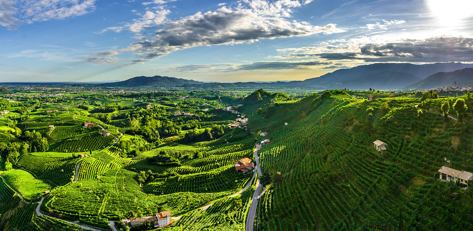 De nydelige vinmarkene mellom Congegliano og Valdobbiadene i Treviso-provinsen.