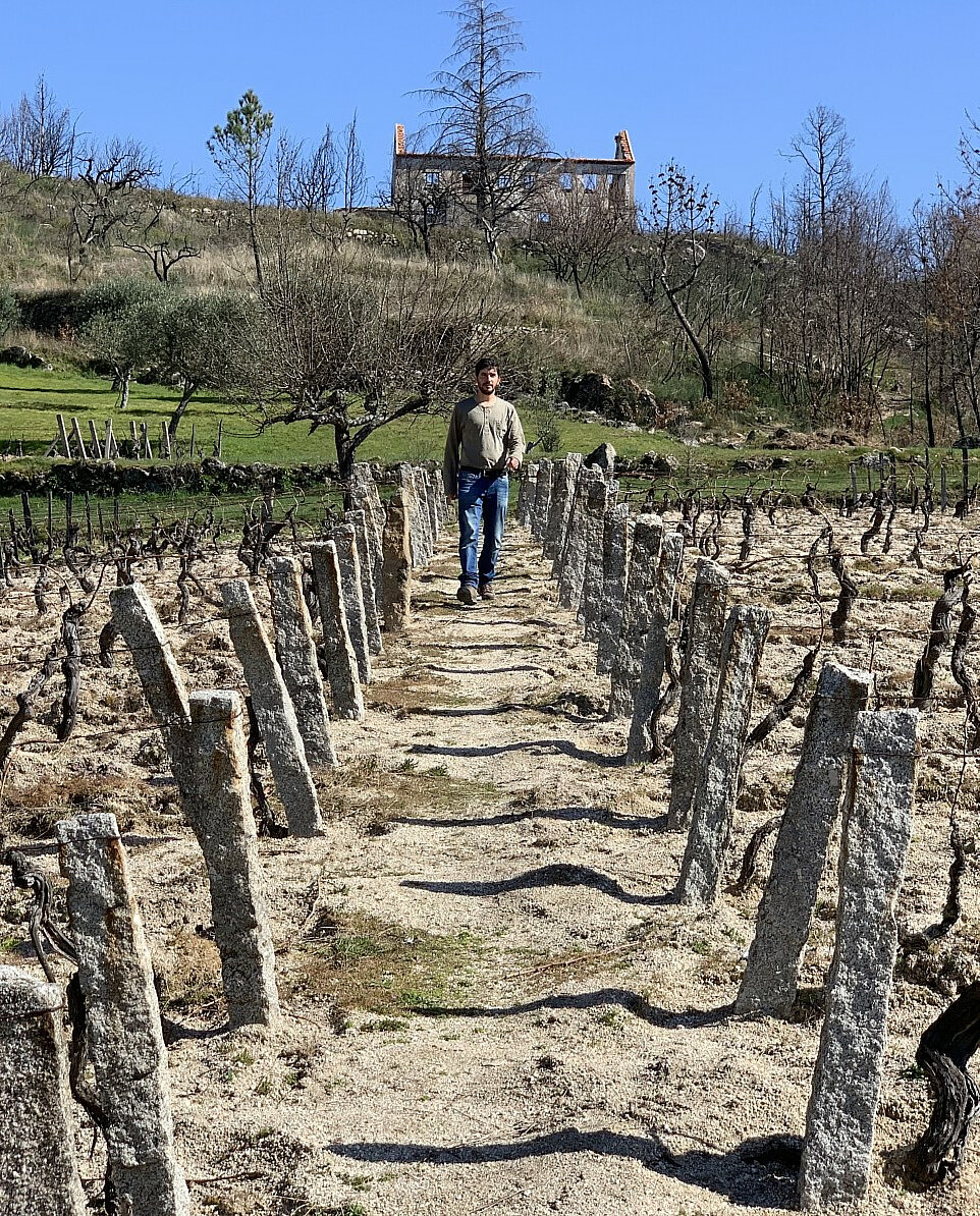 Antonio Madeira i vinmarken