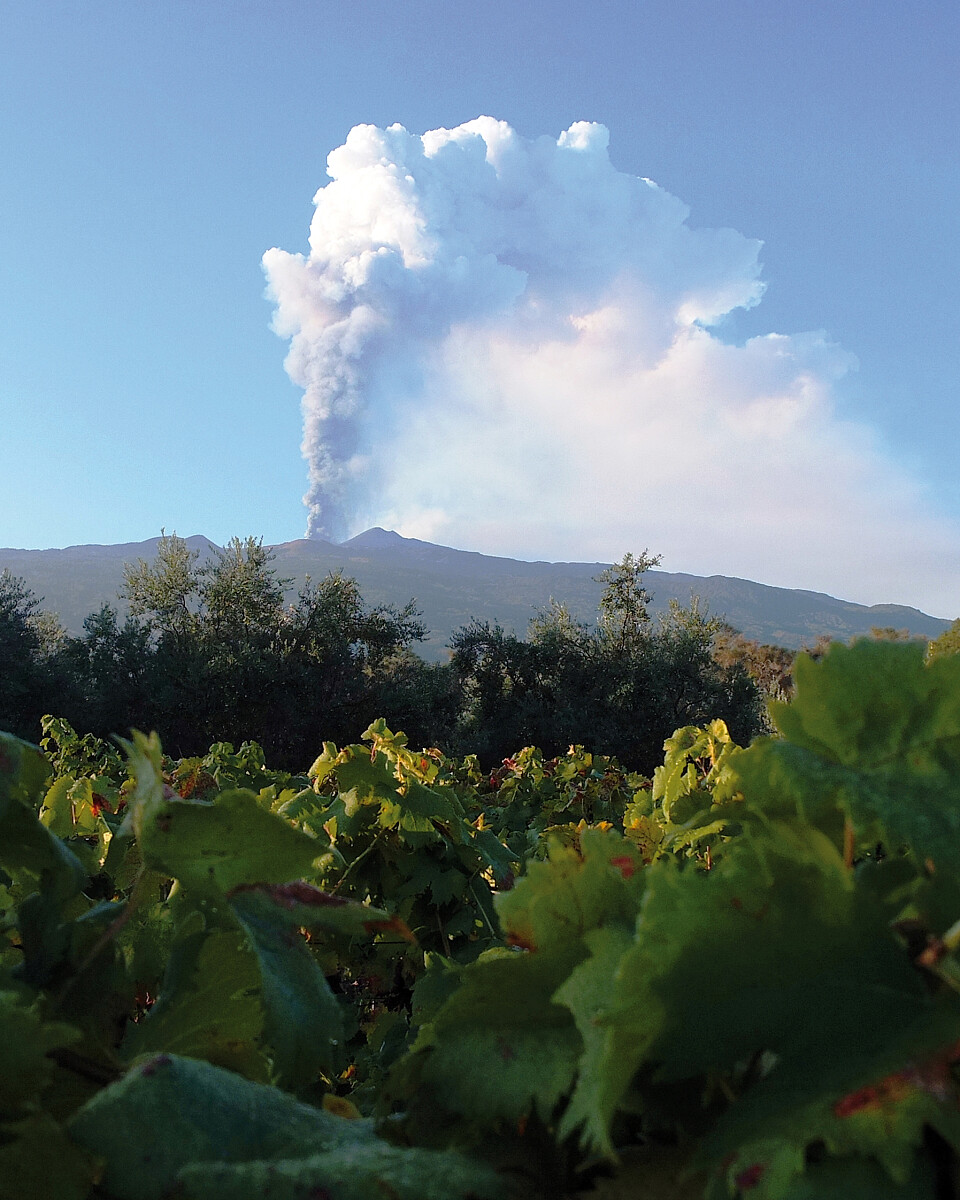 Utsikt fra vingåren til vulkanen Etna