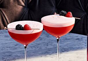 Bombay Bramble Clover Club drinkoppskrift