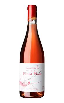 Gysler Single Vineyard Pinot Noir Rosé