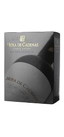 Hoya de Cadenas S Estate Old Vine Garnacha 2014