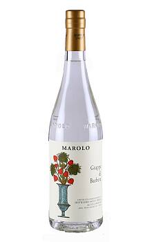 Marolo Grappa di Barbera