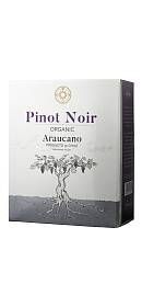 Araucano Pinot Noir 2016