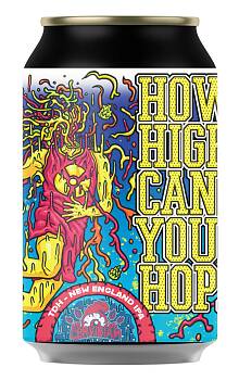 Cervisiam How High Can You Hop New England IPA