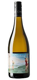 Climbing Chardonnay 2015