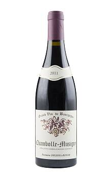 Digioia-Royer Chambolle-Musigny 2011