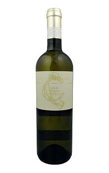 Collestefano Verdicchio di Matelica