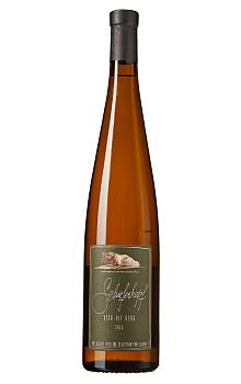 Schieferkopf Lieu-Dit Berg Alsace Riesling