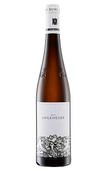 Von Buhl Ungeheuer Riesling GG