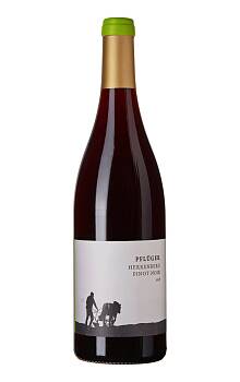 Pflüger Herrenberg Pinot Noir