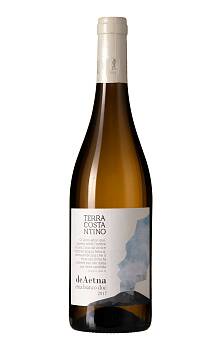 Terra Costantino Etna Bianco