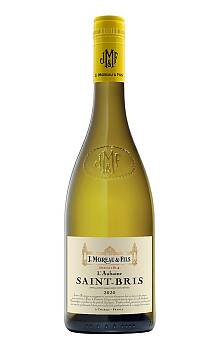 J. Moreau & Fils Saint Bris Sauvignon