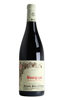 Guillemot Bourgogne Rouge