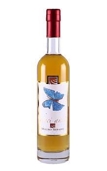 Mauro Sebaste Grappa dieci anni