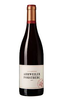 Julia Bertram Ahrweiler Forstberg Spätburgunder