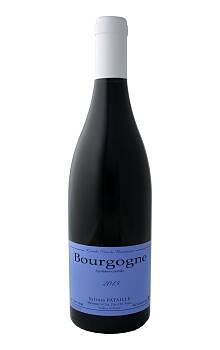 Sylvain Pataille Bourgogne Pinot Noir 2015