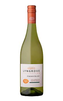 Lyngrove Collection Chenin Blanc