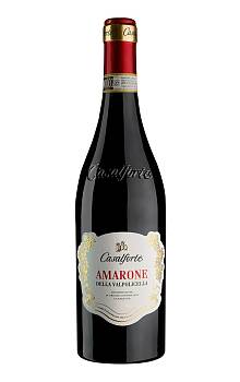 Casalforte Amarone della Valpolicella