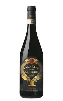 Tezza Amarone della Valpolicella