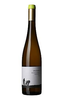 Pflüger Michelsberg Riesling