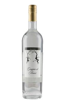 Malvirà Grappa di Arneis