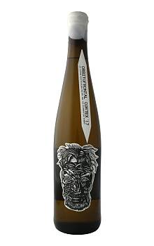 Blankbottle Orbitofrontal Cortex