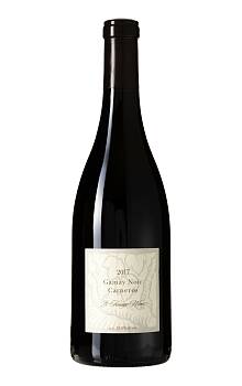 Byron Kosuge Wines Carneros Gamay Noir