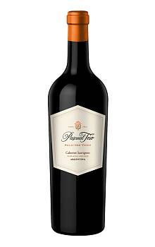 Pascual Toso Selected Vines Cabernet Sauvignon 2014