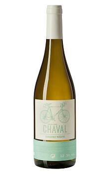 Nodus Chaval Chardonnay Moscatel