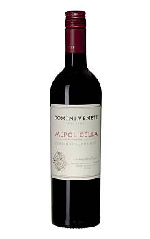 Domìni Veneti Valpolicella Classico Superiore