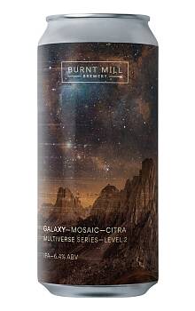 Burnt Mill Multiverse LVL 02