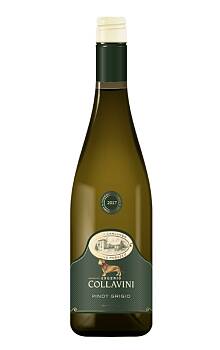 Collavini Pinot Grigio Canlungo