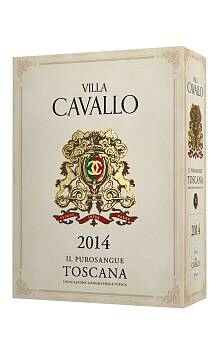 Casa Cavallo