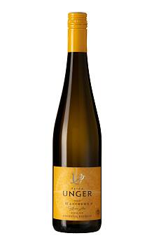 Unger Gaisberg Kremstal Reserve Riesling