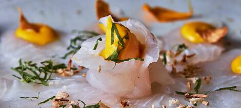 Winemakers Dinner: Friske sommerviner fra Østerrike møter kortreist mat på Kolonihagen Frogner