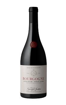 Dom. Georges Joillot Bourgogne Côte d'Or Pinot Noir