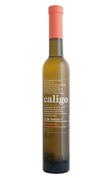 Caligo