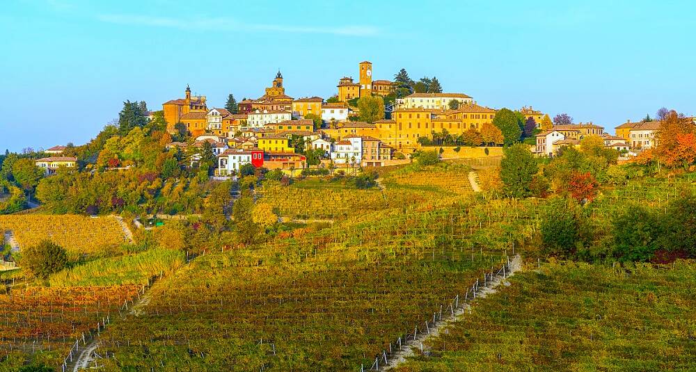 Barbaresco 2019 lever opp til renommeet