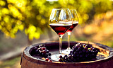 Nyt smaken av Toscana med eksklusive viner fra Chianti Classico