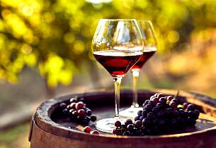 Nyt smaken av Toscana med eksklusive viner fra Chianti Classico