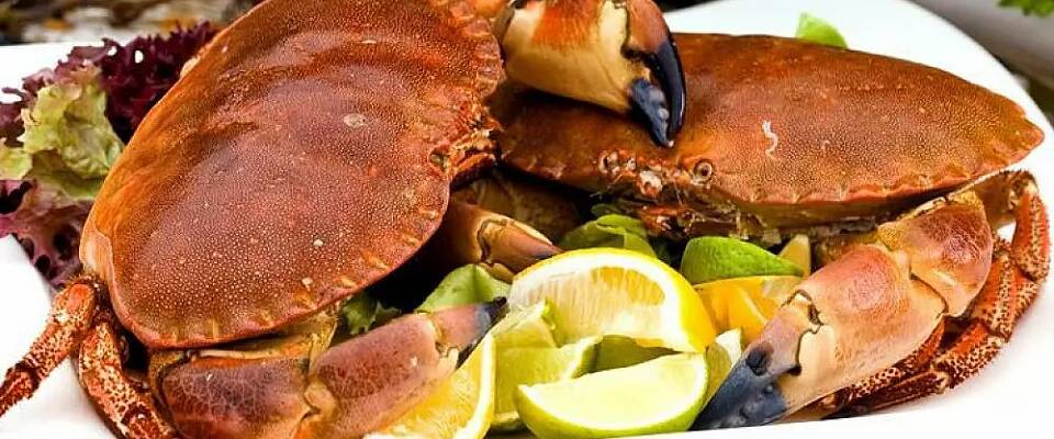 Prøv noe nytt med krabbe. Du blir ikke skuffet