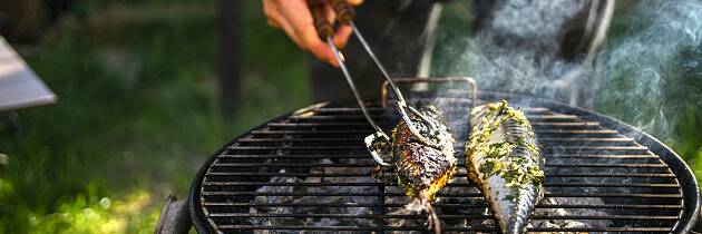 Dette er ølet du bør drikke til grillet makrell