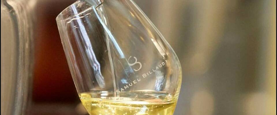 Chablis som kan lagres: I dette tilfellet er du i trygge hender