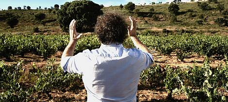 Kraftige rødviner fra Ribera del Duero åpner høstsesongen