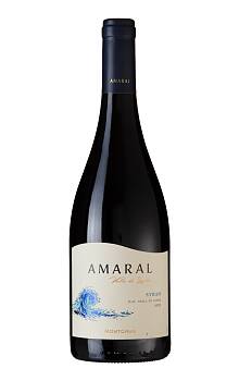 MontGras Amaral Syrah