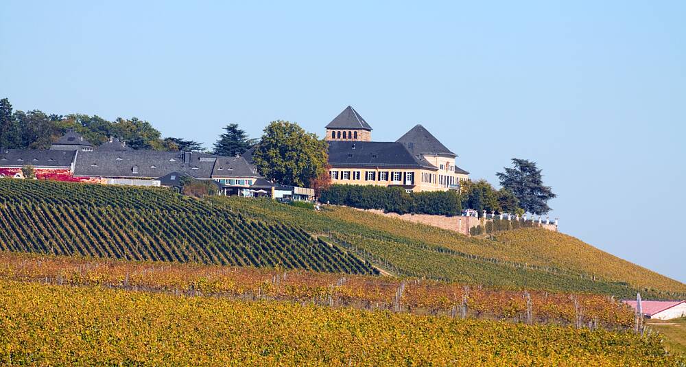 Liv laga på slottene i Rheingau