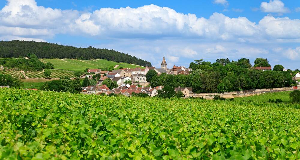 Volnay-adelen