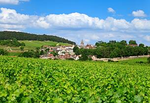 Volnay-adelen