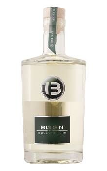 B13 Gin